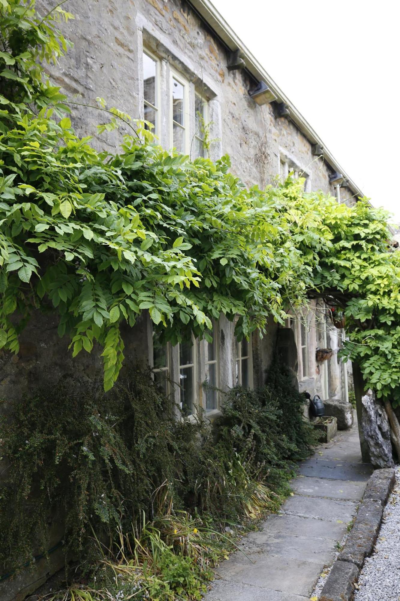 Ashfield House Ξενοδοχείο Grassington Εξωτερικό φωτογραφία A climbing vine